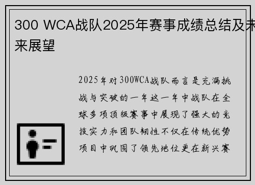 300 WCA战队2025年赛事成绩总结及未来展望